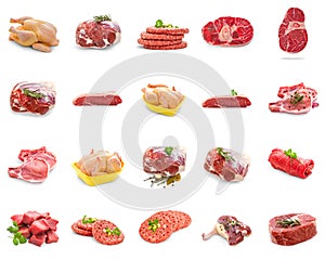 Wild meat collage, isolated