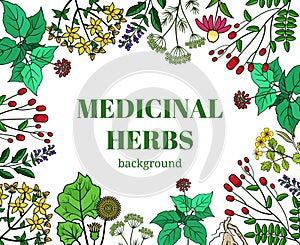 Wild medicinal herbs background