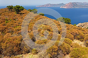 Wild Mediterranean coastline