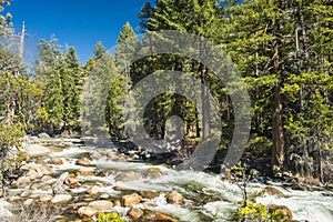 Wild Merced river in the Yosemite National Park