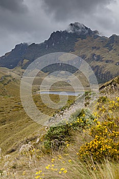 Wild moorland gardens Mojanda