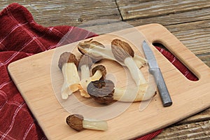 Wild Moral Mushrooms on a Cutting Board photo