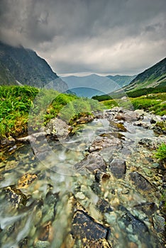 Wild mountain creek in Hlinska dolina valley in High Tatras