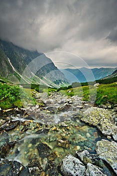 Wild mountain creek in Hlinska dolina valley in High Tatras