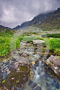 Wild mountain creek in Hlinska dolina valley in High Tatras