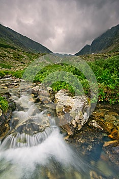 Wild mountain creek in Hlinska dolina valley in High Tatras