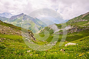 Wild Mountain Flowers and Landscape with Shelter in the Background