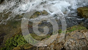 Wild Mountain River Close Up Abundant Clear Stream. Detail Static Shot of Babbling Creek with Stone Boulders Flowing. Rock Rapid i