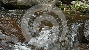 Wild mountain river. close-up. fast small mountain river with crystal clear water. Rapid water flow running through