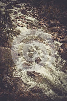 Wild mountain river flowing through the deep green forest.