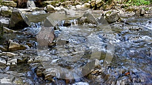 Wild mountain river flowing through stone boulders. Abundant clear stream in Carpathian.