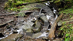 Wild mountain river flowing through stone boulders. Abundant clear stream in carpathians.