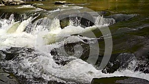 Wild mountain river flowing through stone boulders. Abundant clear stream in carpathians.