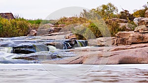 Wild Mountain River Flowing with Stone Boulders and Stone Rapids. Rapid Splashing water in Creek. Mountain stream in the