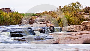 Wild Mountain River Flowing with Stone Boulders and Stone Rapids. Rapid Splashing water in Creek. Mountain stream in the