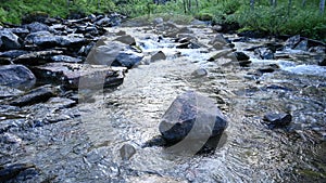 Wild mountain river water splashing in summer day