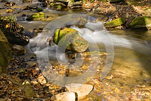 Wild Mountain Stream