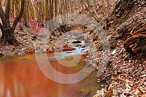 wild mountain stream in autumn