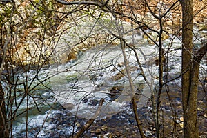 Wild Mountain Trout Stream