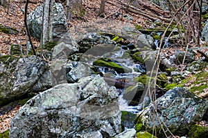 Wild Mountain Trout Stream in a Boulder Field