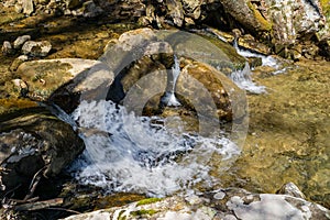 Wild Mountain Trout Stream on Little North Mountain