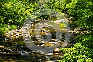 Wild Trout Stream in the Mountains of Virginia, USA