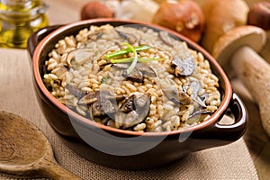 Wild Mushroom Risotto