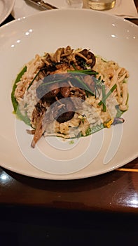 Wild mushroom risotto on a plate