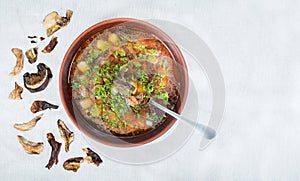 Wild mushroom mushroom soup in a brown clay plate and spoon on linen cloth top view, copy space