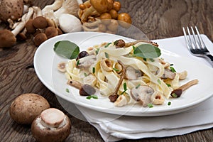 Wild Mushrooms Pasta