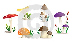 Wild mushrooms set vector illustration, isolated six types of mushrooms on a white background.