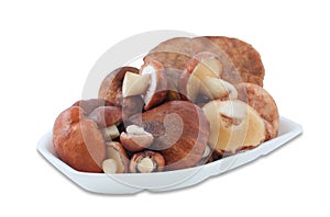 Wild mushrooms Suillus lie stacked in a container for food of foam on a white background.