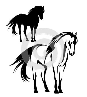 Wild mustang horse black and white vector outline and silhouette