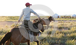 Wild Mustang roundup