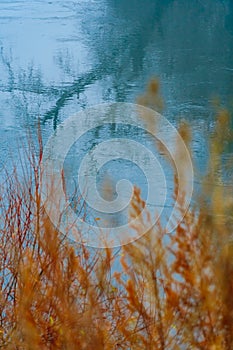 Wild natural landscape, late autumn season, river, bare branches of trees without leaves are reflected in the water, cloudy