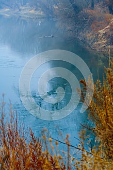 Wild natural landscape, late autumn season, river, bare branches of trees without leaves are reflected in the water, cloudy