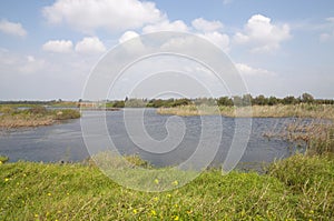 Wild nature, Agamon Emek Hefer photo