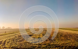 Wild nature field landscape with fog in the morning