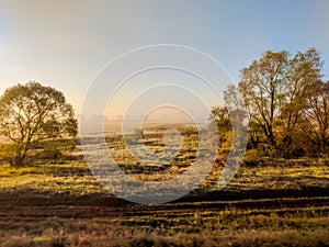 Wild nature field landscape with fog in the morning