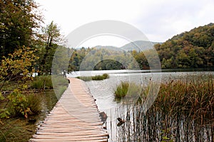 Wild nature - lakes with wooden paths at Plitvice Lakes National Park