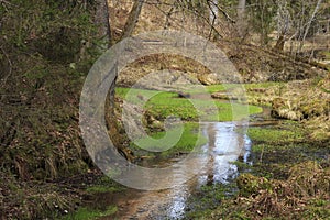 Wild nature of Latvia near Cesis.