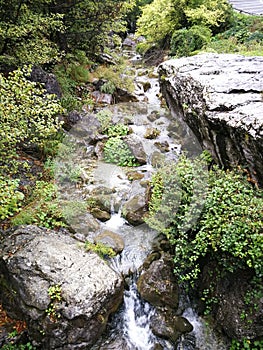 wild nature mountain river