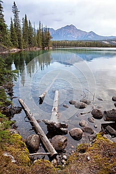 Wild nature in Rocky Mountains,Lake Shore