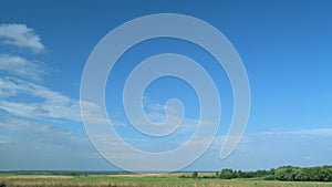 Wild nature and rural pasture field. Clouds swim around sky. White clouds floating to distance in blue sky. Timelapse.