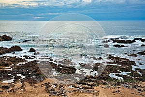 Wild nature. Sea and ocean. Sea landscape. Wild beach. Sea beach with a waves and a lot of seagulls. Footprints in the sand.