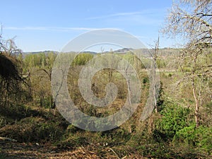 Wild nature under the Blue sky in Casalecchio di Reno