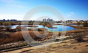 Wild nature vs the city - lake in the suburbs