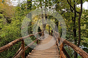 Wild nature - wooden path, part of hiking route at Plitvice Lakes National Park