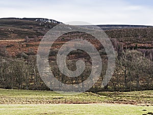 Wild Northumberland landscape with Key Heugh or Sandy Crag, UK