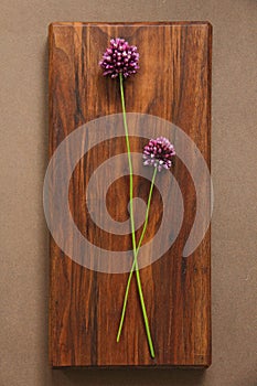 Wild onion violet on a wooden background of black walnut. Beautiful summer wildflowers. vertical, vertical design